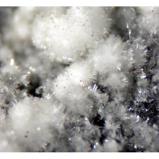 Ferrinatrite & Gypsum