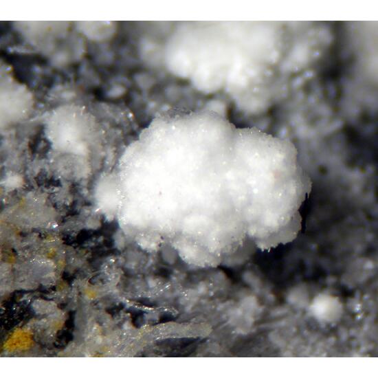 Ferrinatrite & Gypsum