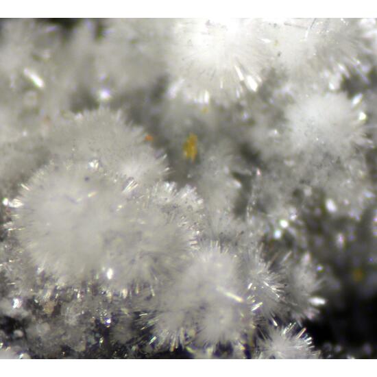Ferrinatrite & Gypsum