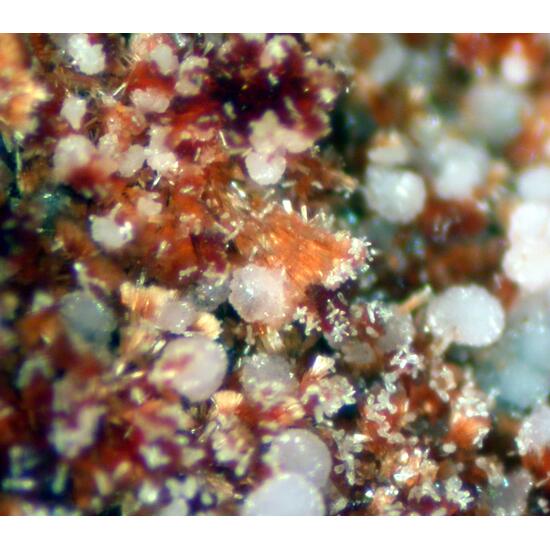 Beraunite & Strengite