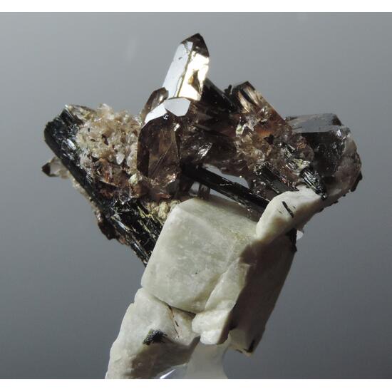 Niobophyllite Quartz & Aegirine