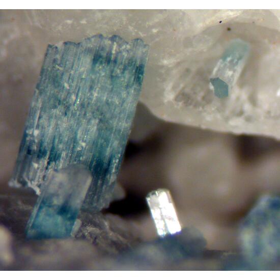 Crandallite & Fluorapatite