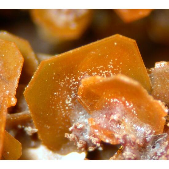 Wulfenite