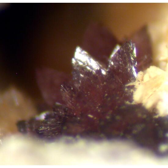 Gordonite Meurigite-K & Leucophosphite