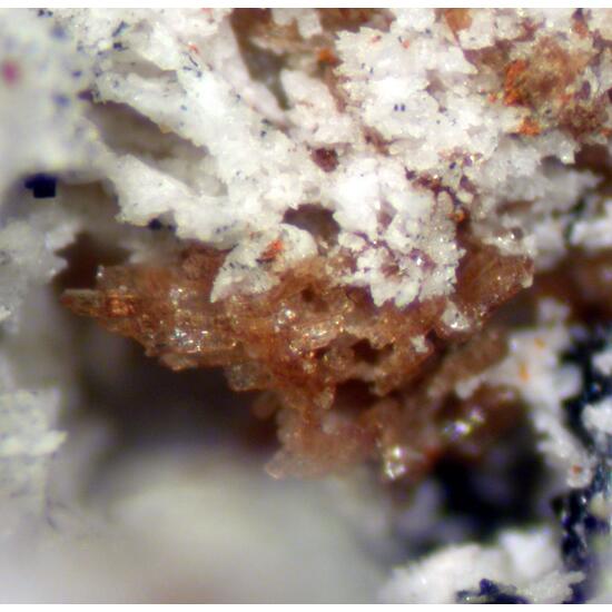 Whiteite-(MnFeMg) Hureaulite & Barbosalite