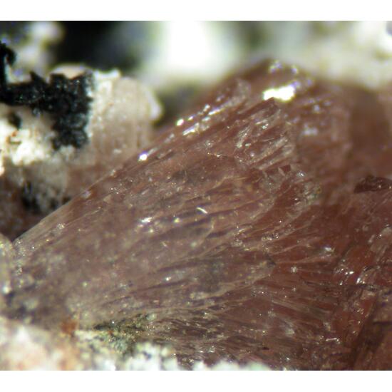 Whiteite-(MnFeMg) Hureaulite & Barbosalite