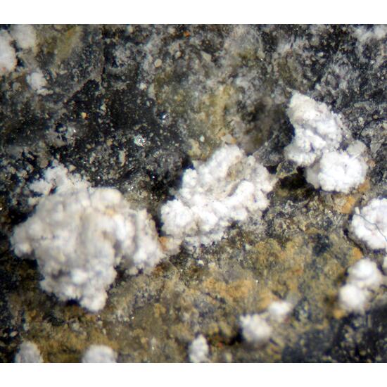 Rostite