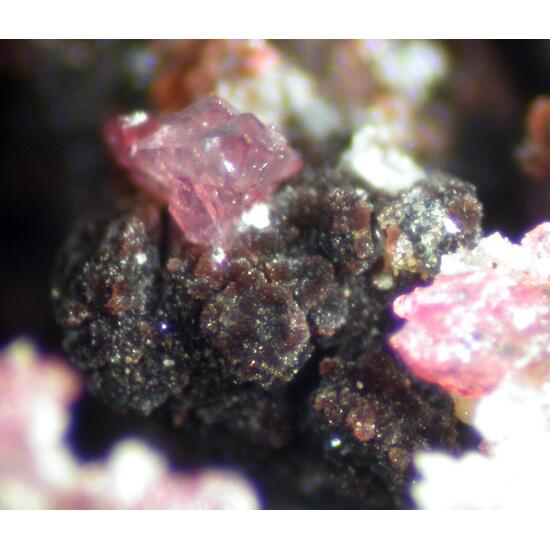 Serrabrancaite Strengite Bermanite & Phosphosiderite