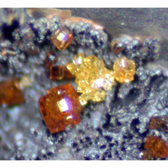 Cyrilovite Saléeite & Leucophosphite
