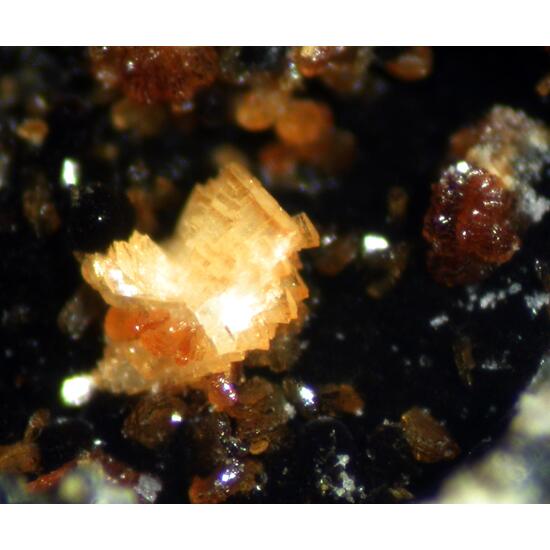 Mangangordonite & Jahnsite