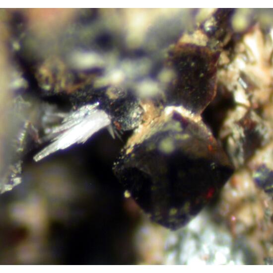 Metaswitzerite Rockbridgeite & Correianevesite