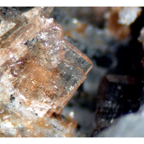 Whiteite-(MnFeMg) Hureaulite & Barbosalite