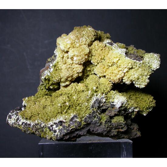 Arsendescloizite & Mimetite