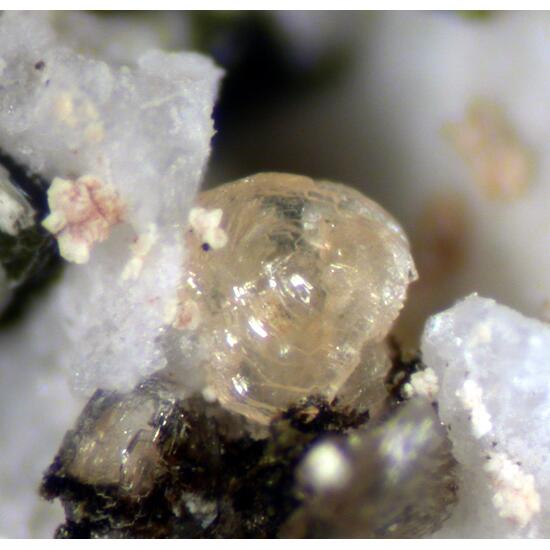 Gordonite Jahnsite & Mitridatite