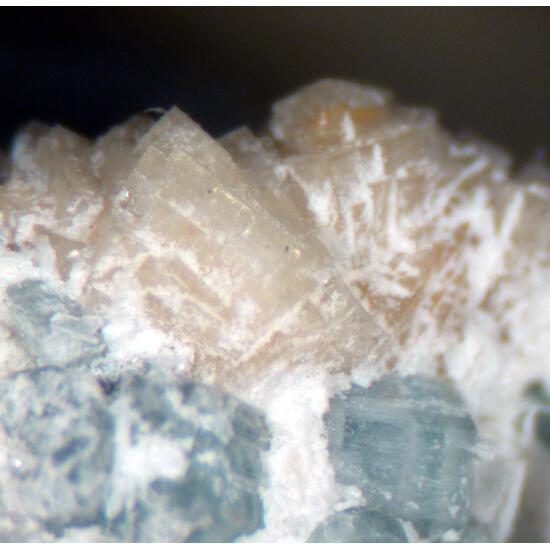 Crandallite & Fluorapatite