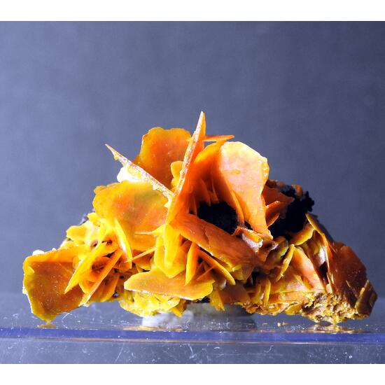 Wulfenite