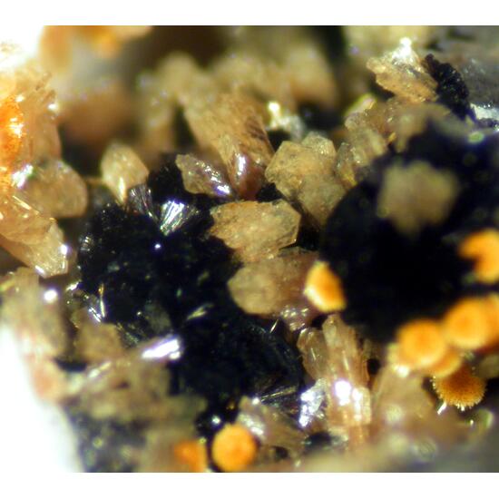 Jahnsite-(NaMnMg) & Cacoxenite