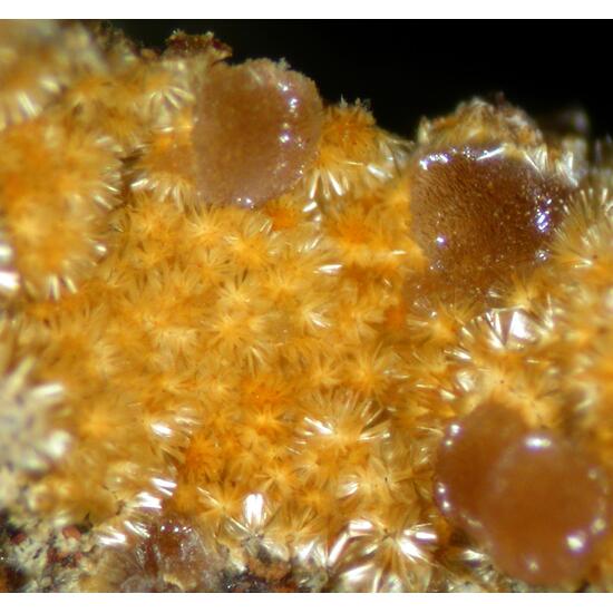 Cacoxenite & Strengite