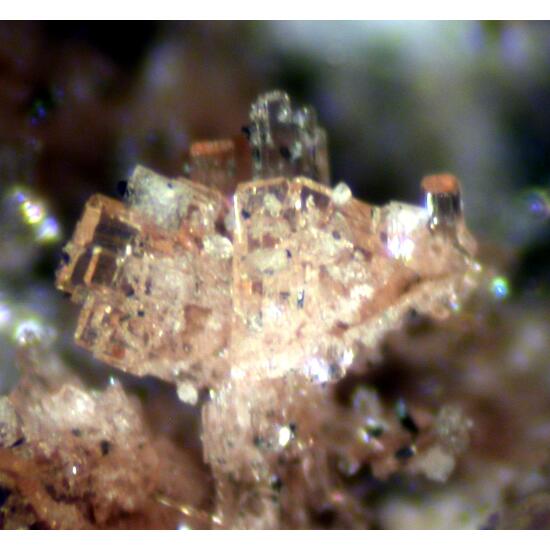 Benyacarite & Phosphosiderite