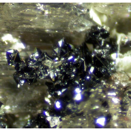 Barbosalite