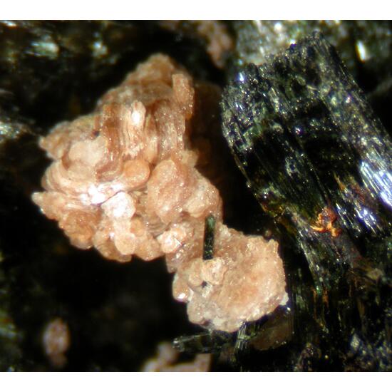 Aegirine Parisite-(Ce) & Zircon