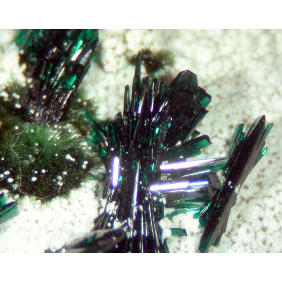 Atacamite Libethenite & Pseudomalachite