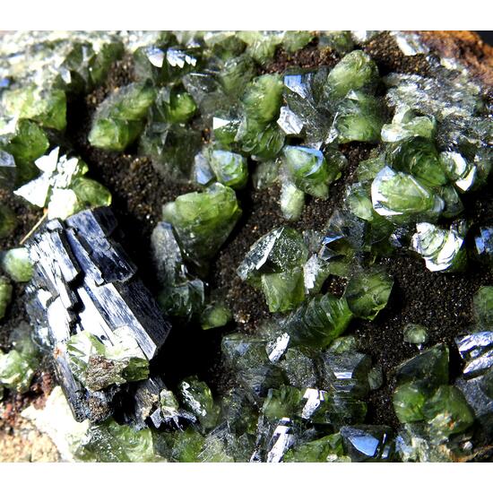 Ludlamite & Vivianite