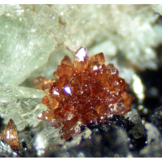 Ludlamite Barbosalite & Eosphorite