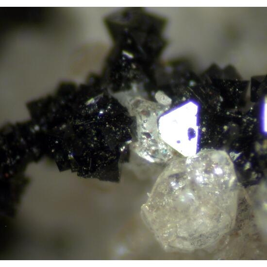 Spinel & Humite