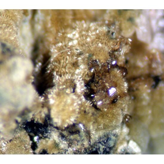 Kidwellite & Jahnsite