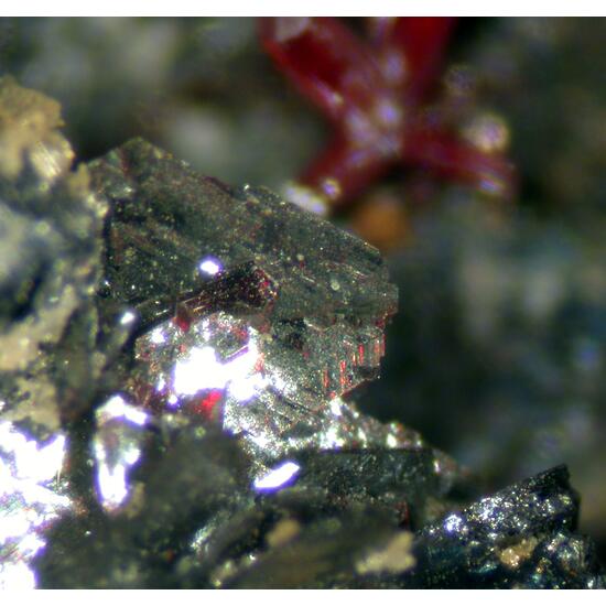 Polybasite Proustite & Pearceite