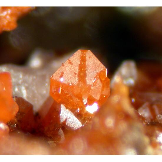 Wulfenite & Vanadinite