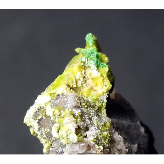 Autunite & Torbernite