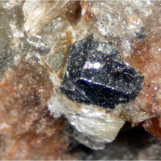 Tapiolite & Graftonite