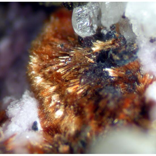 Gordonite Phosphosiderite Beraunite & Strengite