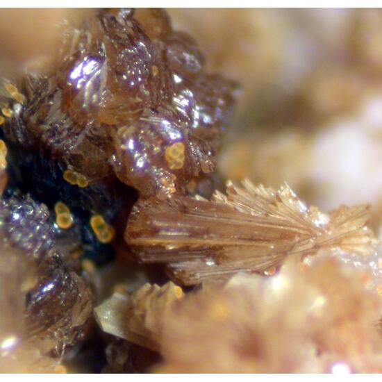 Jahnsite-(NaMnMg) & Cacoxenite