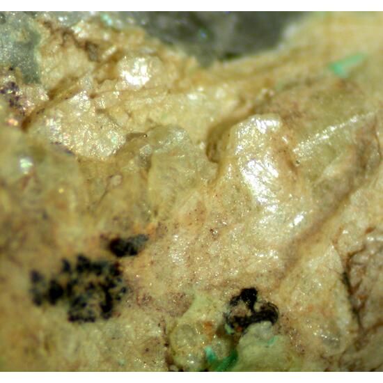 Asbecasite