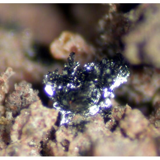Tenorite