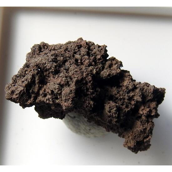 Tenorite
