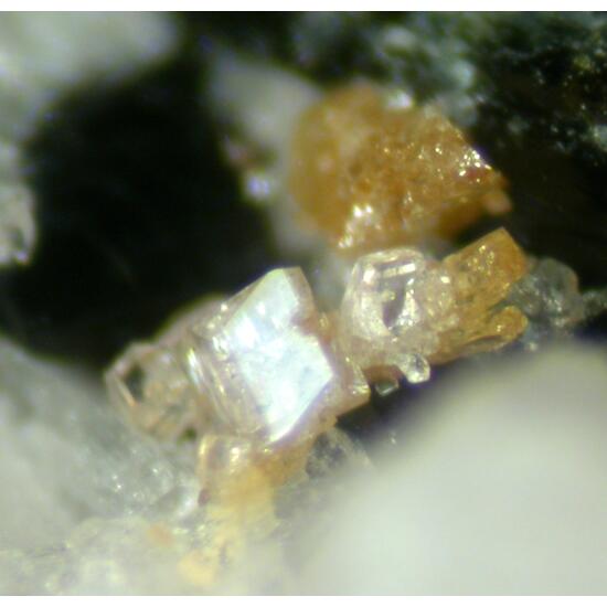Narsarsukite Fergusonite & Ferrokentbrooksite