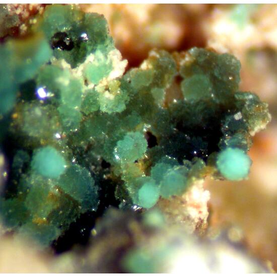 Turquoise & Variscite