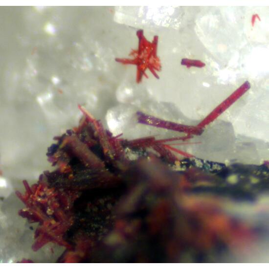 Hutchinsonite & Realgar