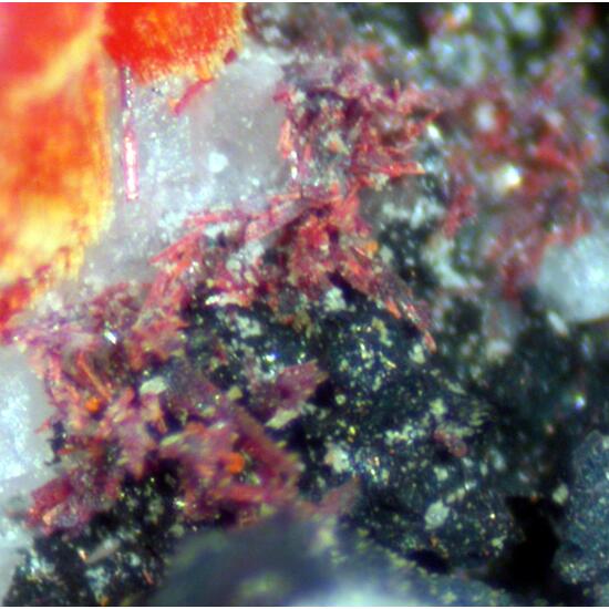 Hutchinsonite & Realgar