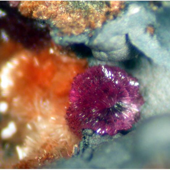 Strengite & Beraunite