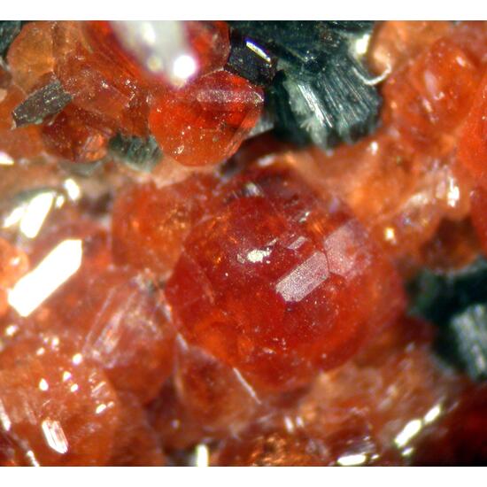 Hessonite Diopside & Clinochlore