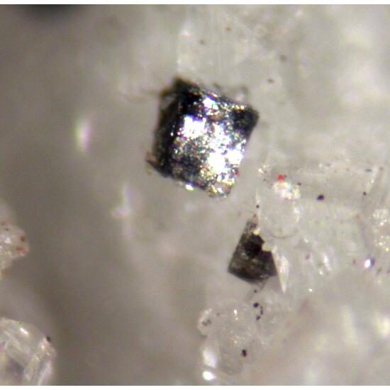 Goyazite Hydroxylherderite Apatite & Siderite
