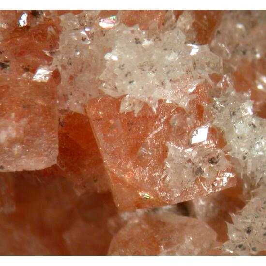 Chabazite-Ca & Calcite