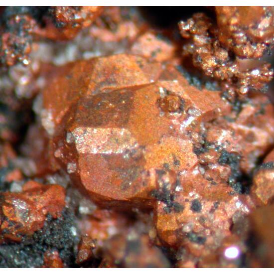 Copper
