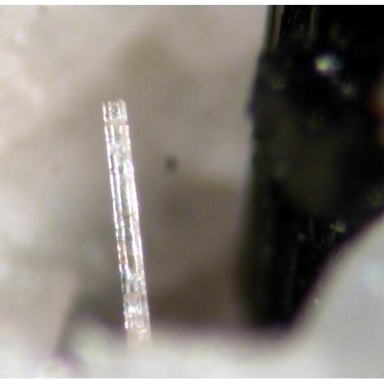 Britholite-(Y) Zircon & Fluornatropyrochlore