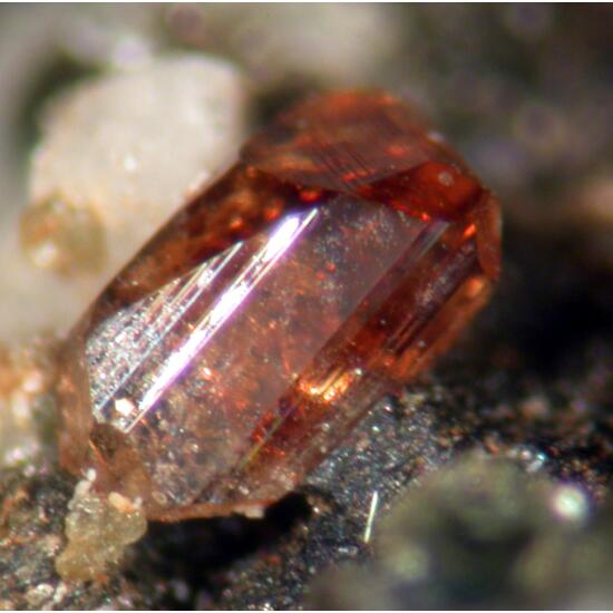 Anatase Sagenite & Muscovite